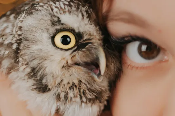 Casino Palace of Chance Kundeservice